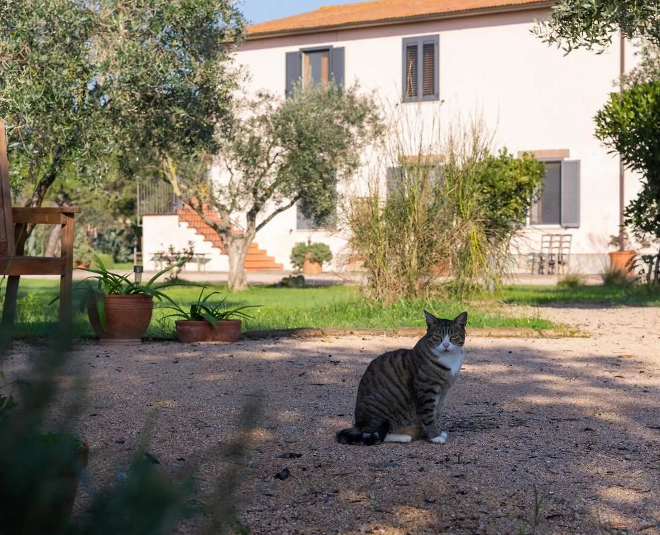 Vila Agriturismo La Facenda Albinia Farma