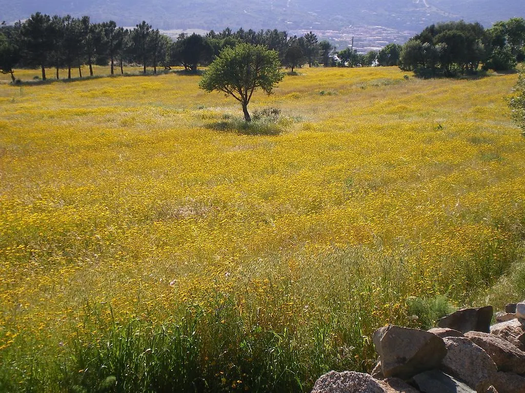 Farma Vila Agriturismo La Facenda Albinia Itálie