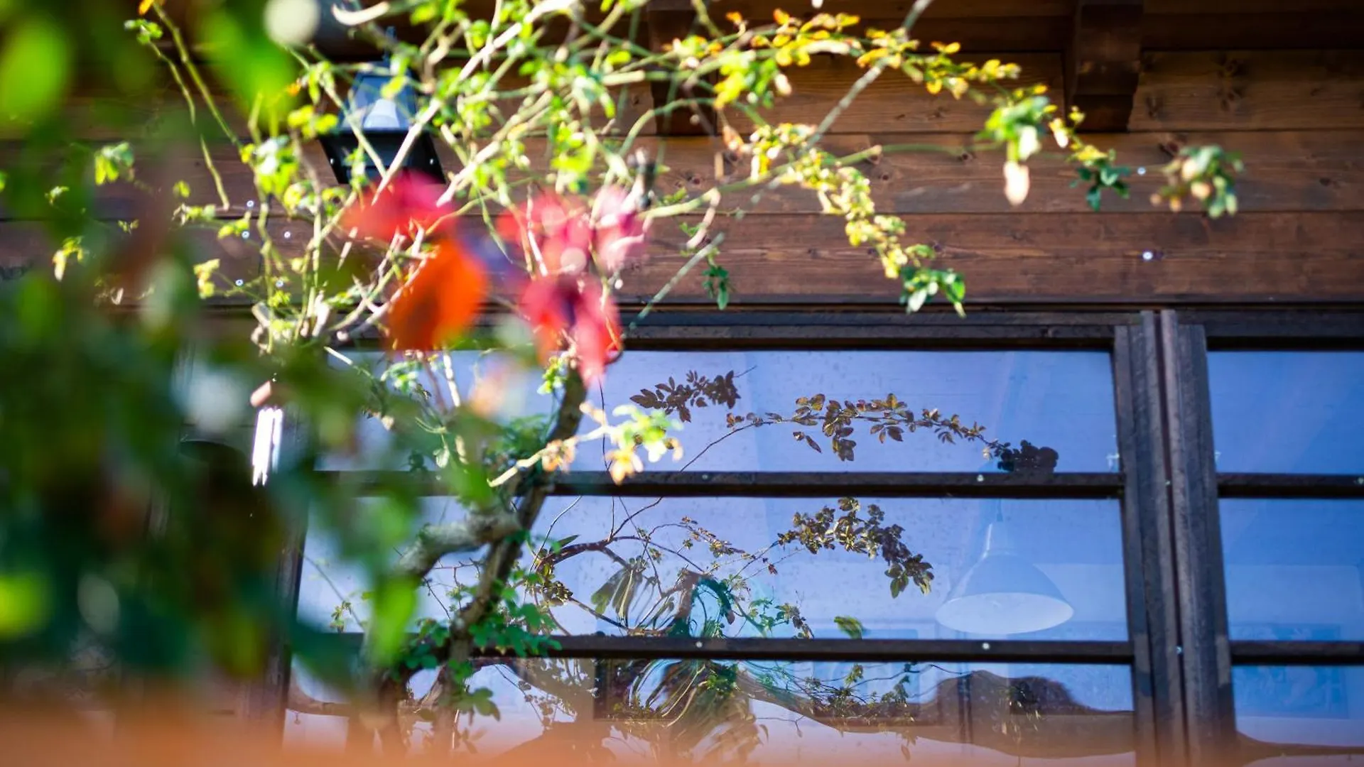 Agriturismo La Facenda Villa Albinia Italy