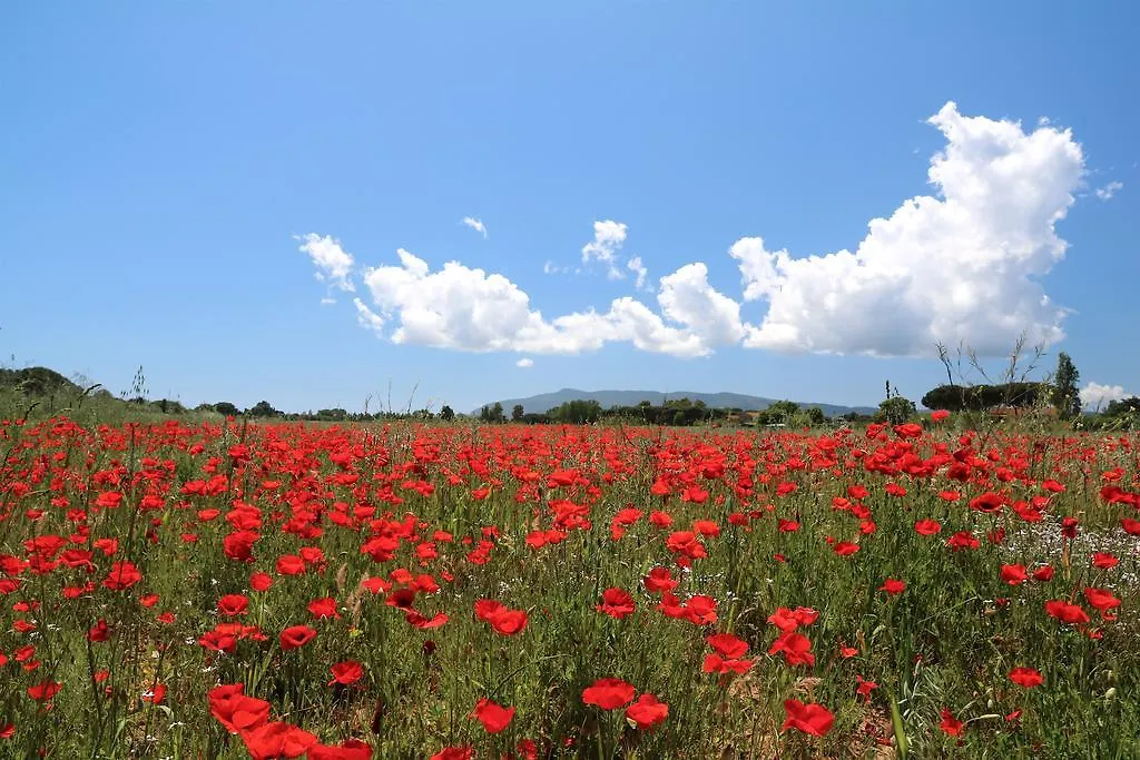 Agriturismo La Facenda Villa Albinia Farm stay